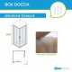 Box Doccia Angolare Cristallo Satinato 6 mm Profilo Cromo Altezza 195 cm art. H22